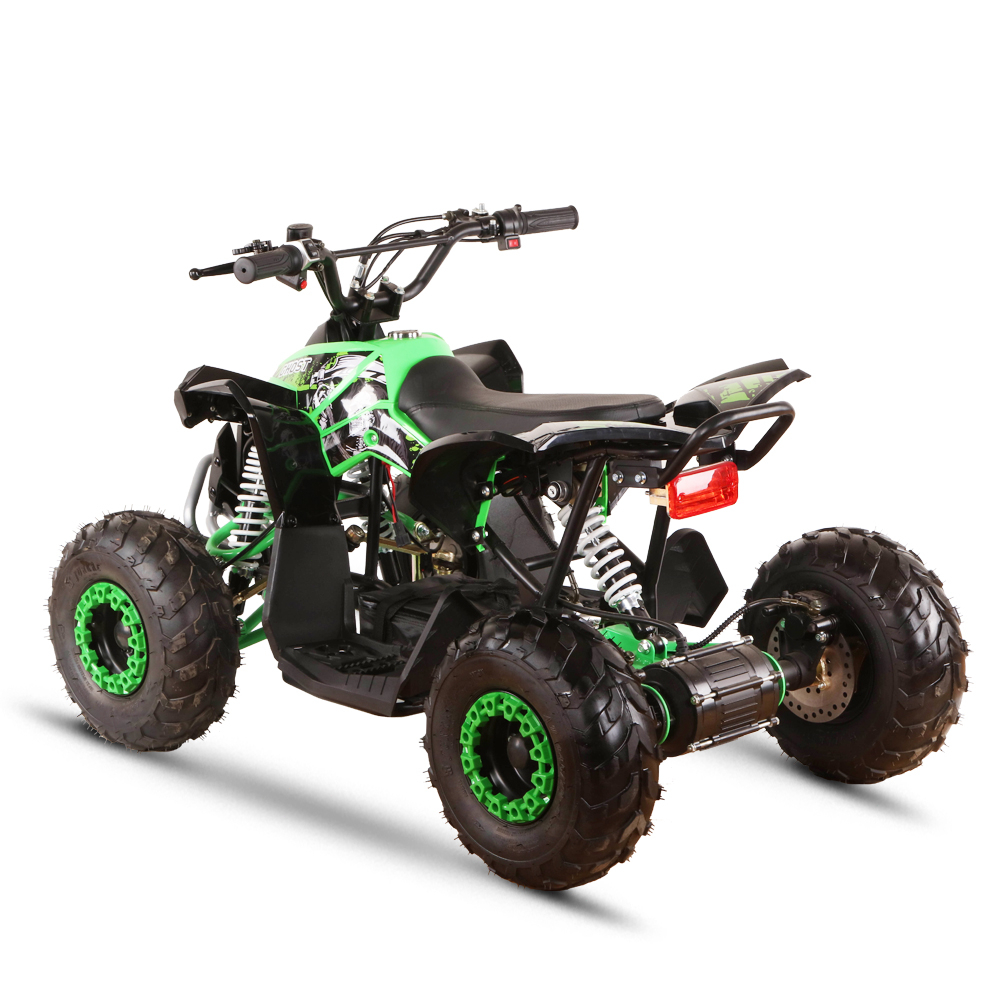 110cc 4-Stroke Powered Sporty  - Outdoor Adventure Vehicles 评论和价格